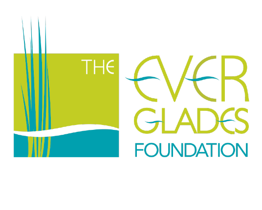 Everglades Foundation logo with grass design.