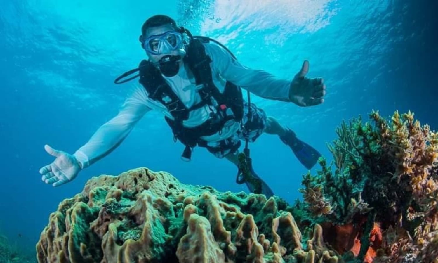 Scuba diver exploring vibrant coral reef underwater.