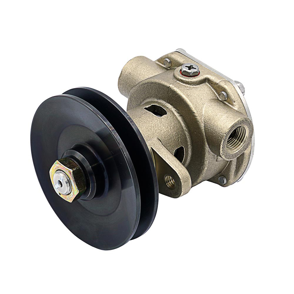 Bronze gear pump with black pulley