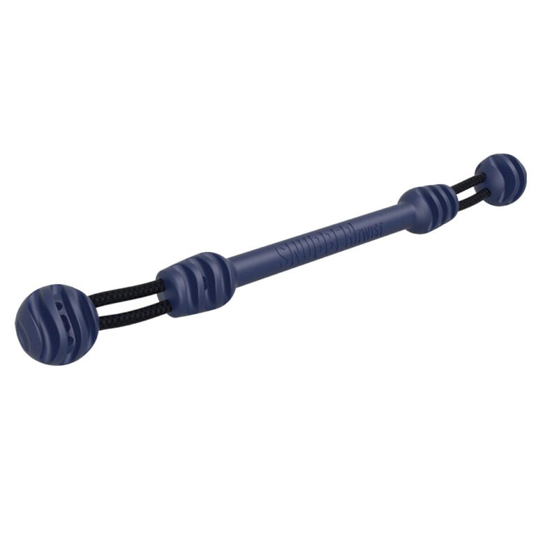 Blue twist dog toy with ball ends.