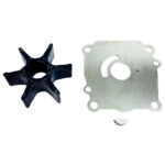 Boat motor impeller and gasket kit