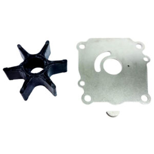 Boat motor impeller and gasket kit