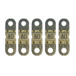 Five automotive fuses in a row.