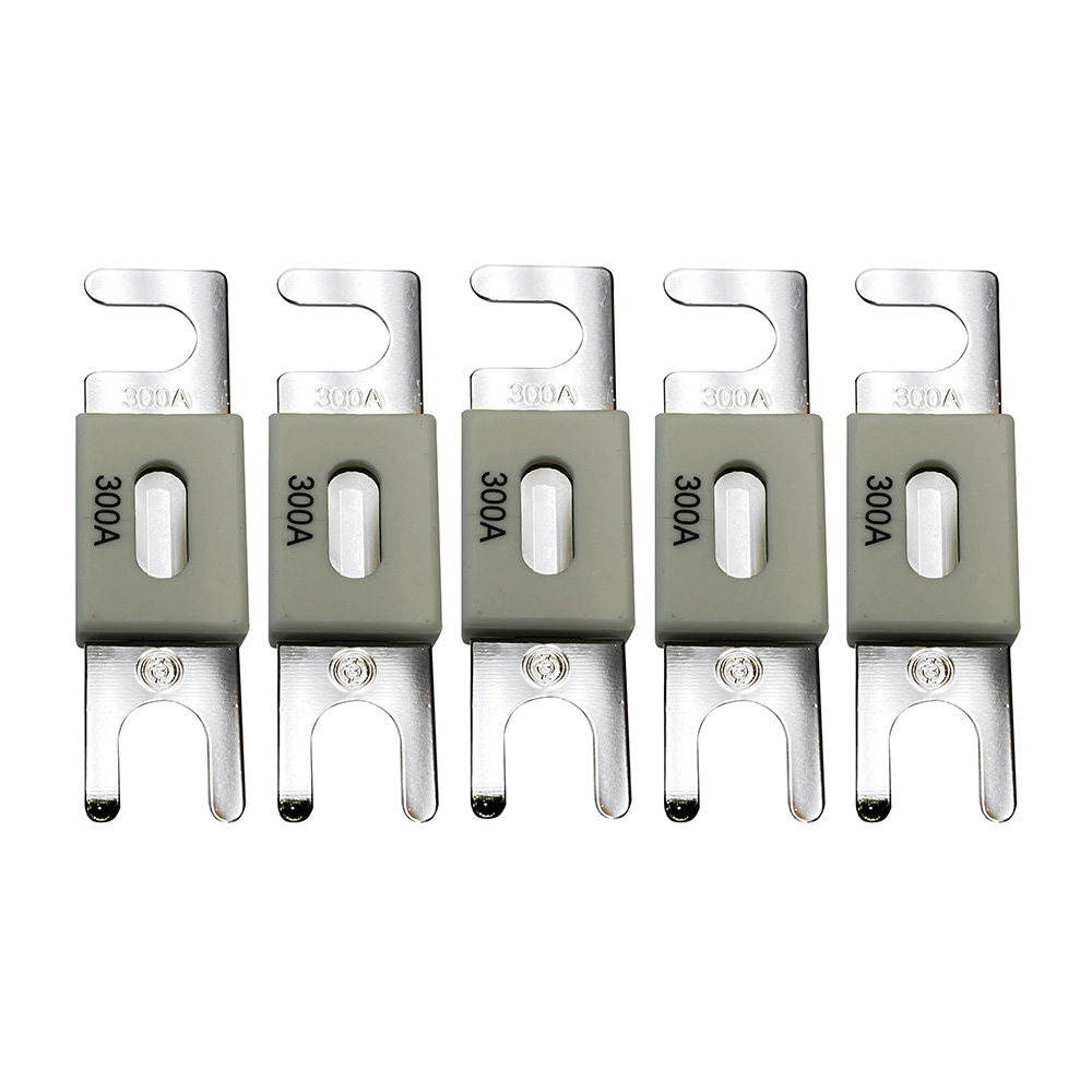 Set of five 300A automotive fuses