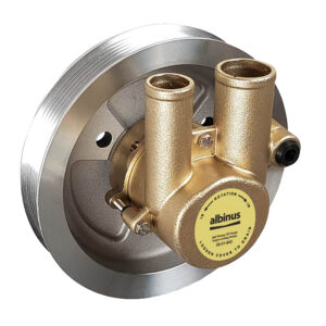 Brass rotary pump with dual inlet pipes.