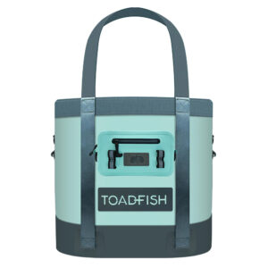 Toadfish teal insulated cooler bag with handles.