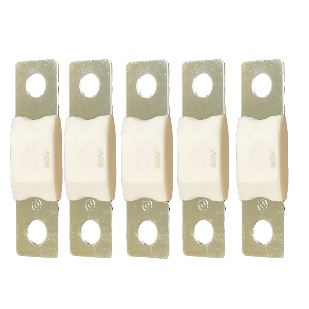 Five identical 80V electrical fuses in a row.
