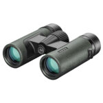 Black and gray binoculars with green lenses.