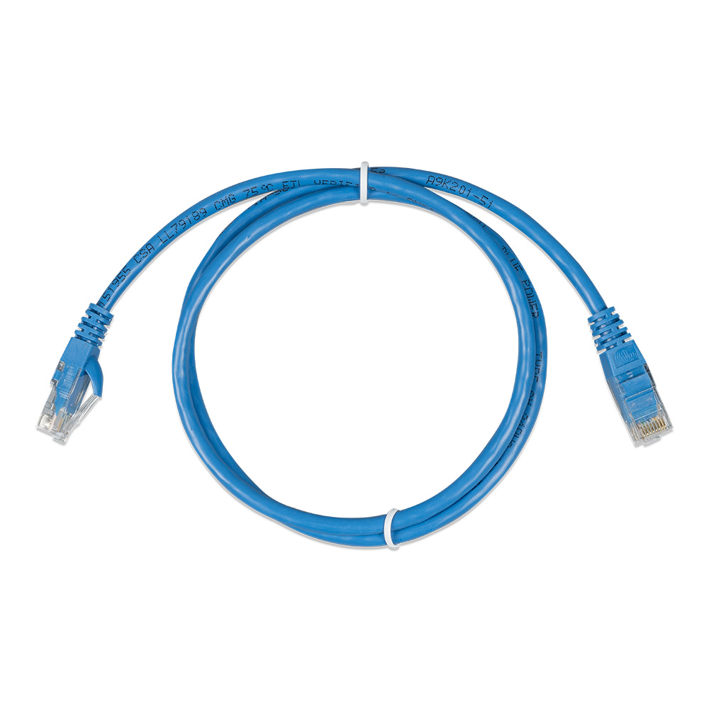 Blue Ethernet cable coiled in a loop.