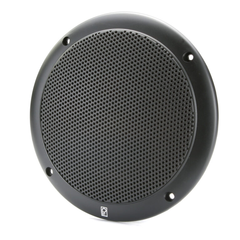 Black round speaker with perforated grille.