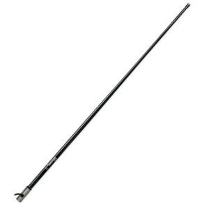 Long black ski pole with silver tip