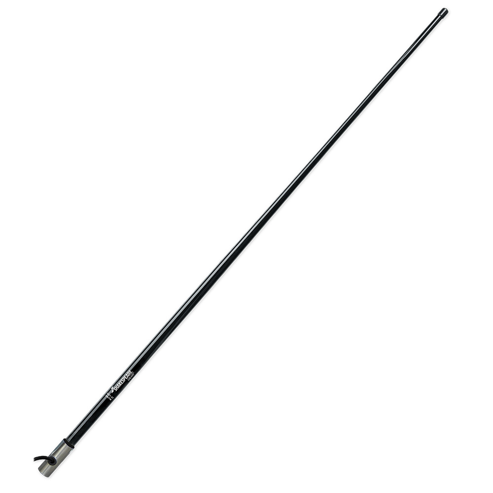Long black ski pole with silver tip