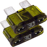 Two green 30-amp automotive fuses.