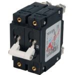 Double-pole circuit breaker with toggle switches