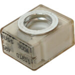 Bussmann 300A automotive fuse, transparent housing