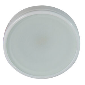 Round white LED ceiling light