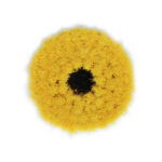 Textured yellow circular object with central hole.