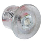 Clear glass light bulb with LED component