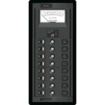 Marine electrical panel with voltmeter and switches.