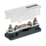 Transparent case and automotive electrical fuse assembly