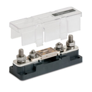 Transparent case and automotive electrical fuse assembly