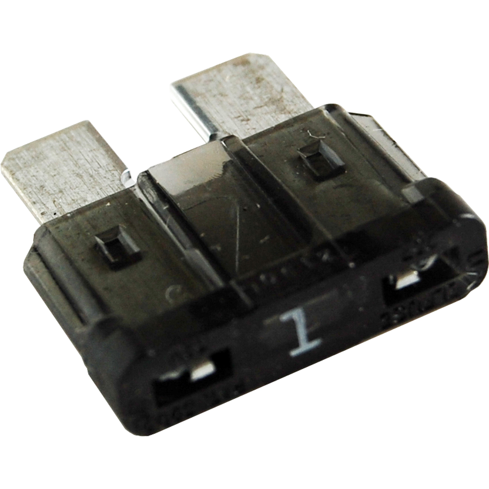 Close-up of a black automotive fuse.