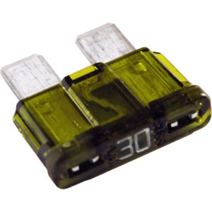 Green 30 amp automotive blade fuse