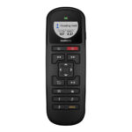 Garmin marine remote control with screen display