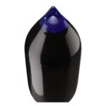 Black marine buoy with blue top