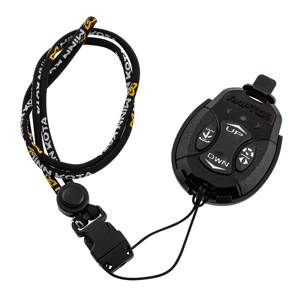 Black remote control with lanyard for equipment operation.