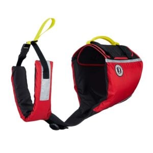 Red dog life jacket with black straps