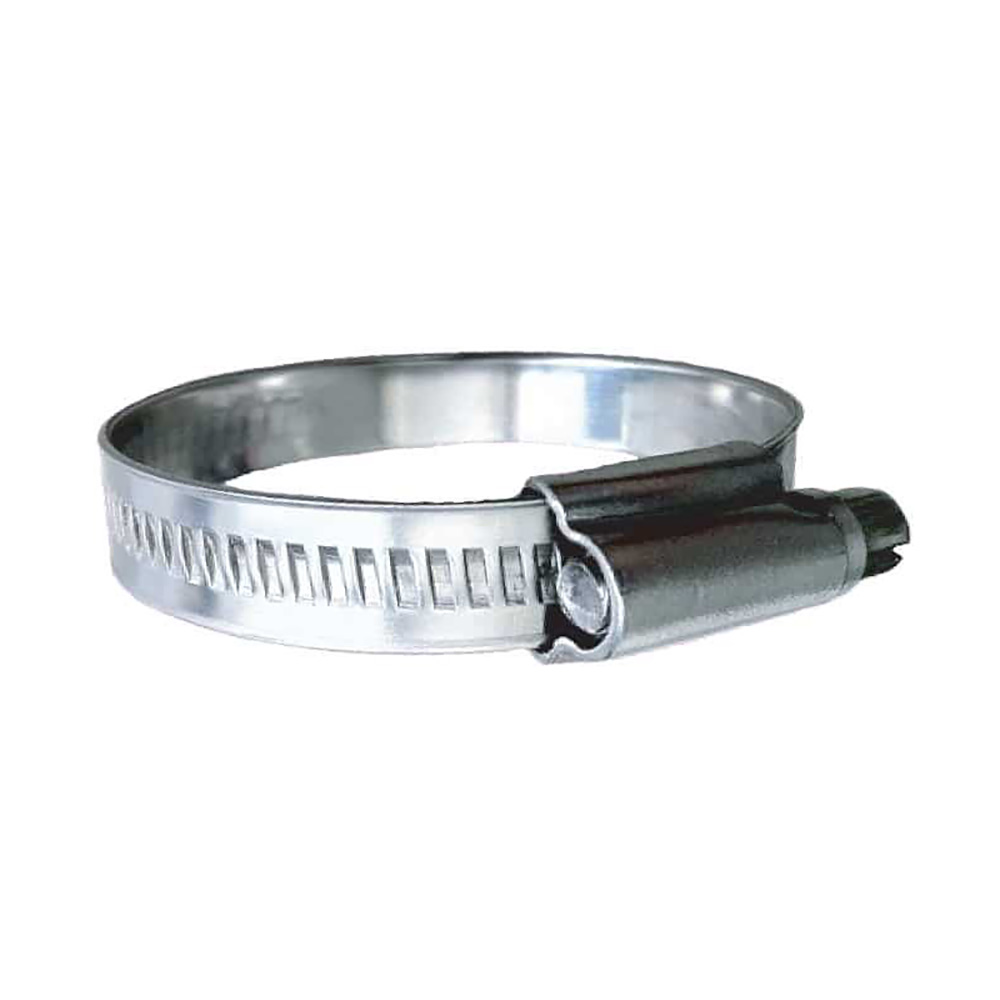 Metal hose clamp on white background.
