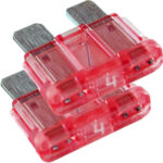 Two red 4-amp automotive blade fuses
